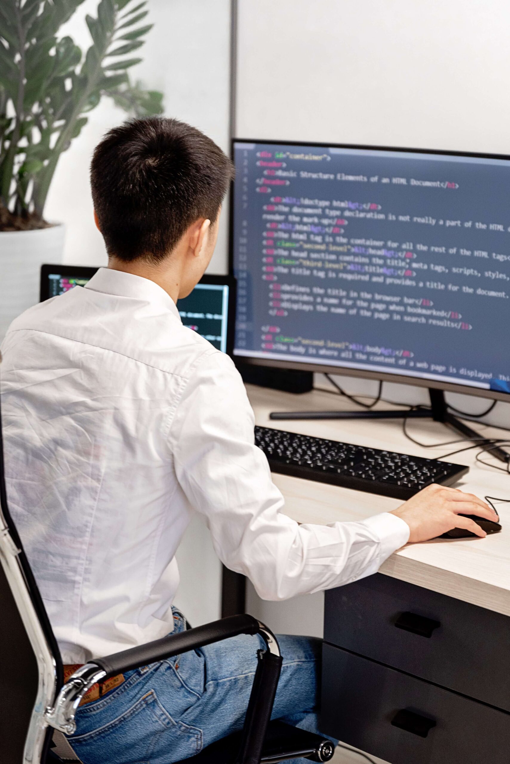 Enterprise-Web-Development-on-screen